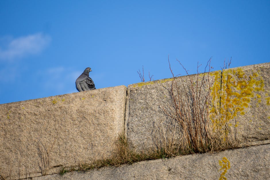 Berliner Mauer Gebäudezeitpunkt und Hintergründe